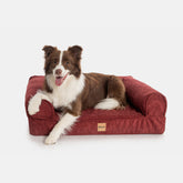 Cama Ortopédica Pacco Sense Canele C-Core®